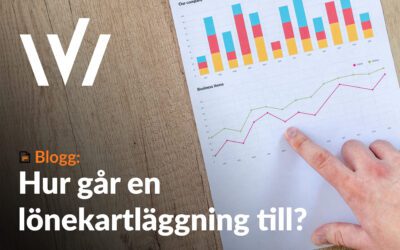 Hur går en lönekartläggning till?